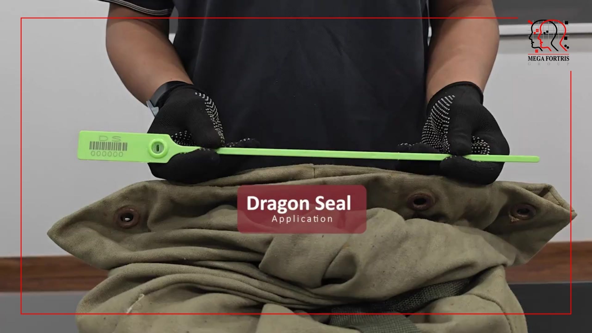 Dragon Seal (Non Tear-Off)