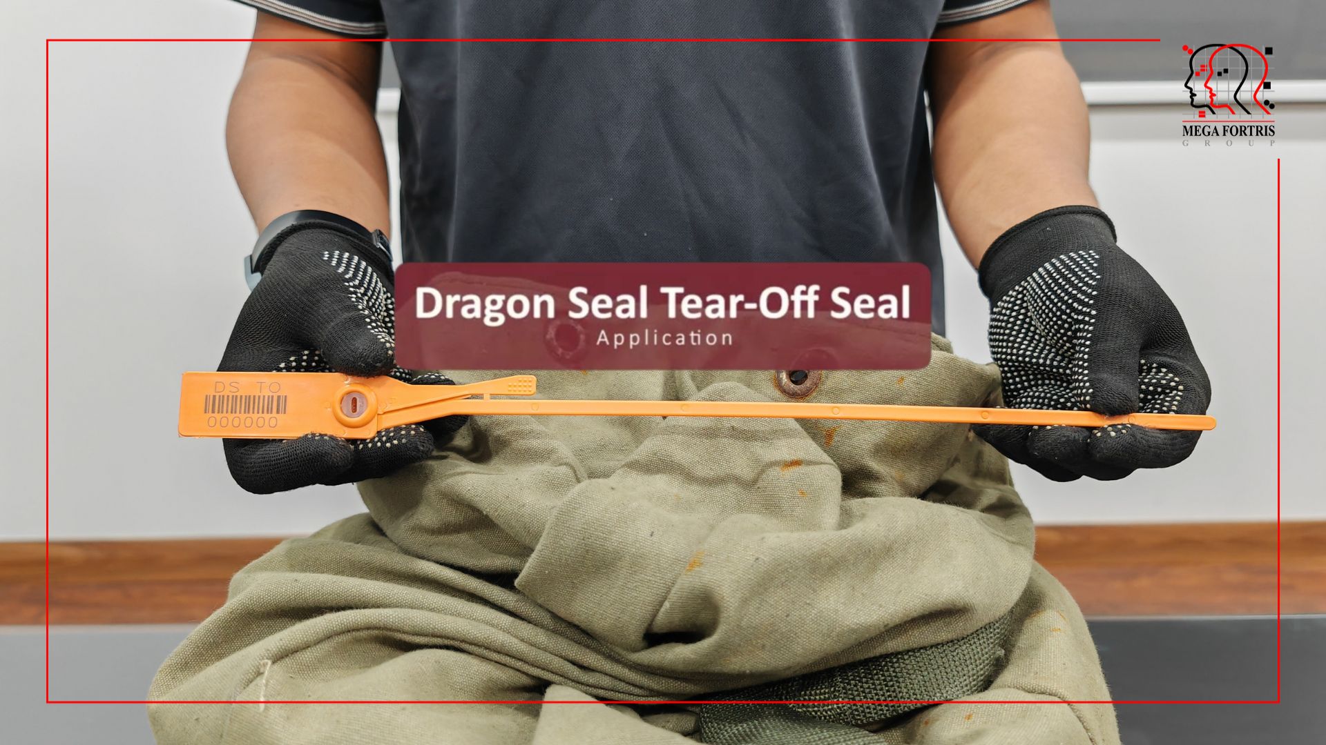 Dragon Seal (Tear-Off)