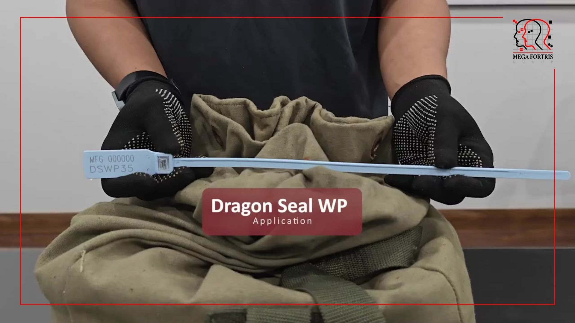 Dragon Seal WP