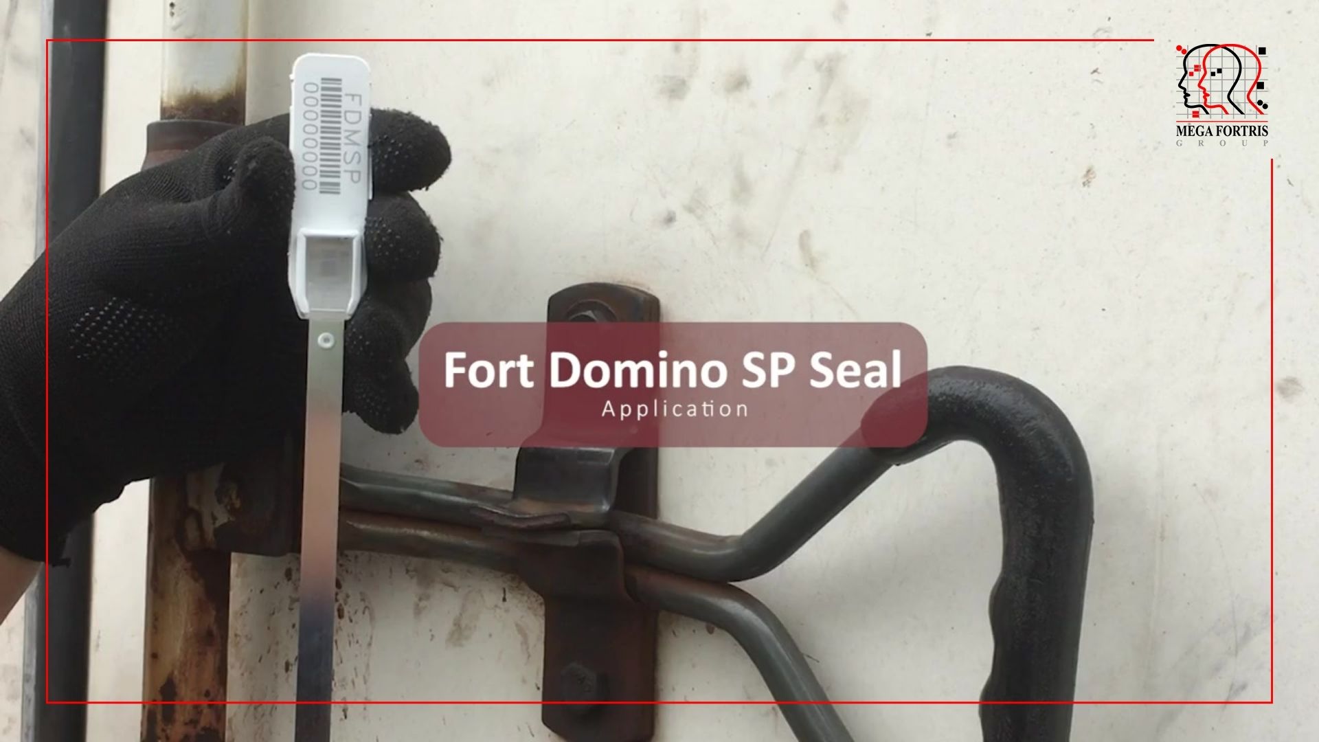 Fort Domino SP Seal