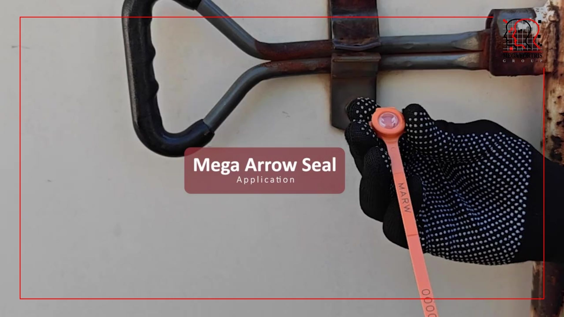 Mega Arrow Seal