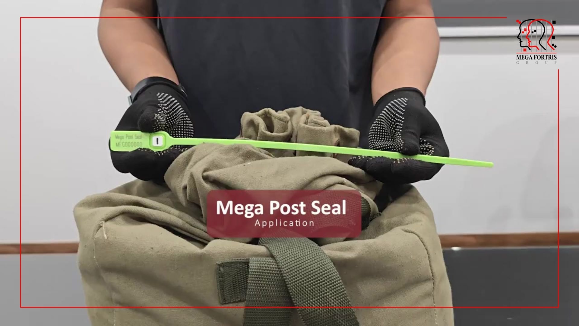 Mega Post Seal