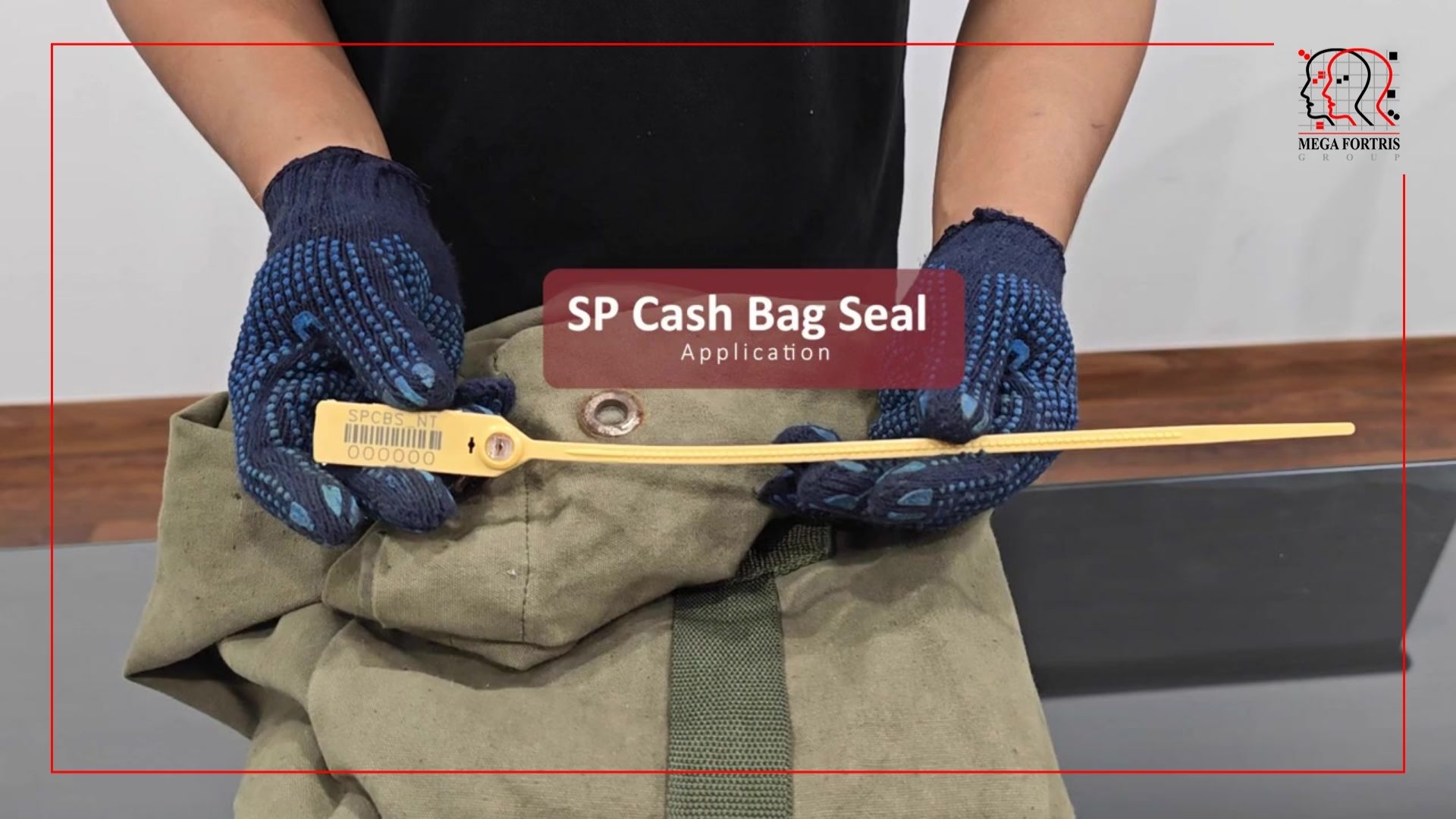 SP Cash Bag Seal without Label Tag (Non Tear-Off)